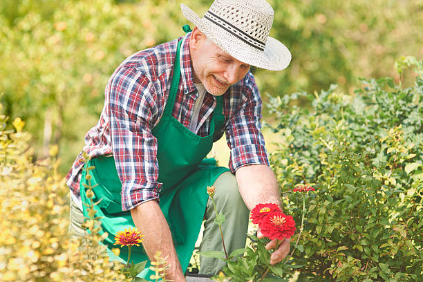 istock I have got green fingers 478481940