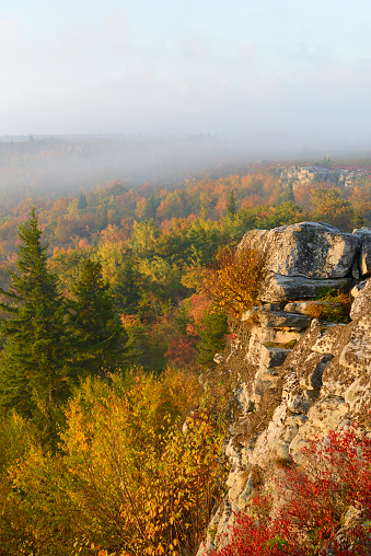 Autumn morning of West Virginia mountains from Bear Rocks in Dolly Sods Wildness area.