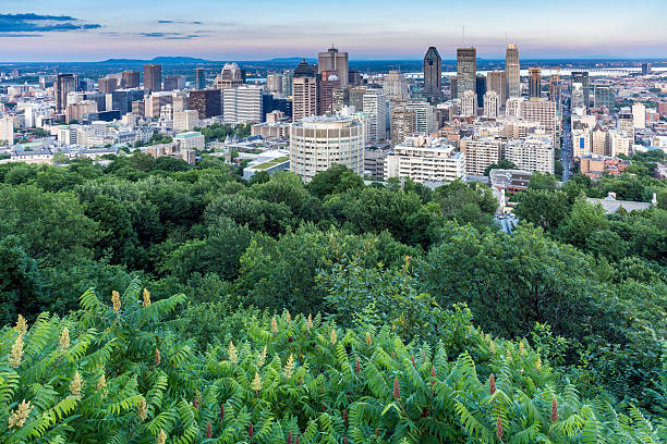istock Panoramic picture of Montreal cityscape 478489872
