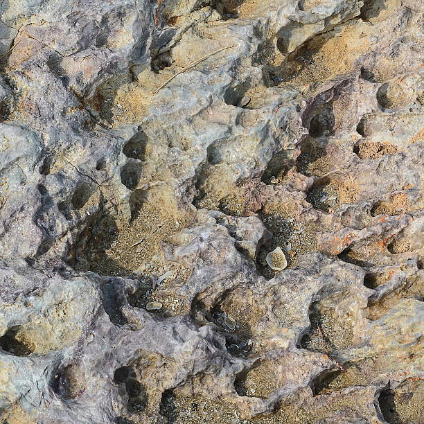 istock Surface Seamless of Stone Rock Texture Background 478491050