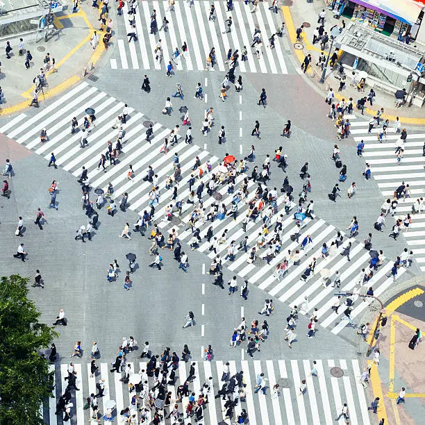 Large crowd of people walking across Shibuya Crossing, Tokyo, Japan. Zebra crossing from above. aerial view.
