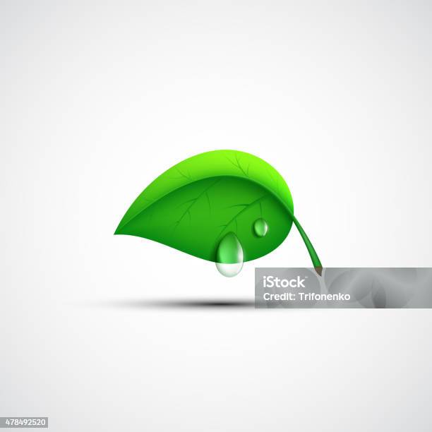 Green Leaf Logo With A Drop Of Water Stock Illustration - Download Image Now - 2015, Abstract, Agricultural Field