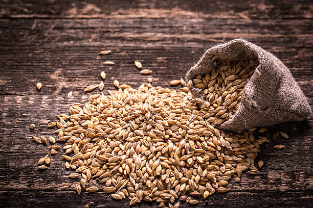orzo sul tavolo di legno - brewery beer barley cereal plant foto e immagini stock