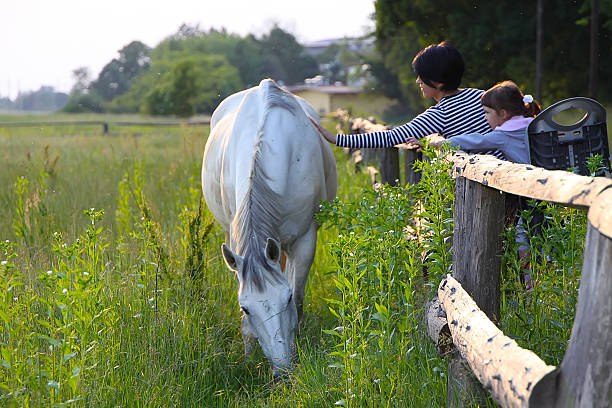 istock Mother with child stroking a horse 478495311