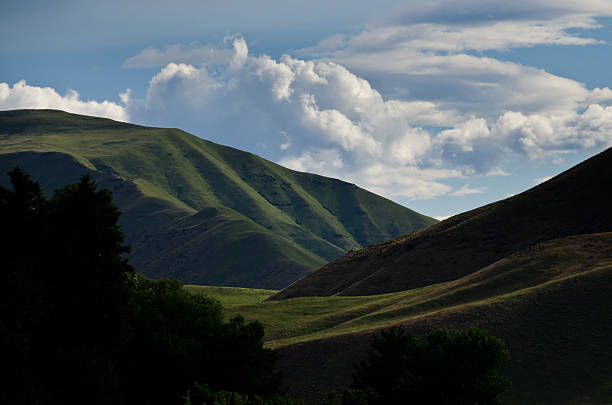 istock Green Slopes of Hells Canyon in Spring 478498658