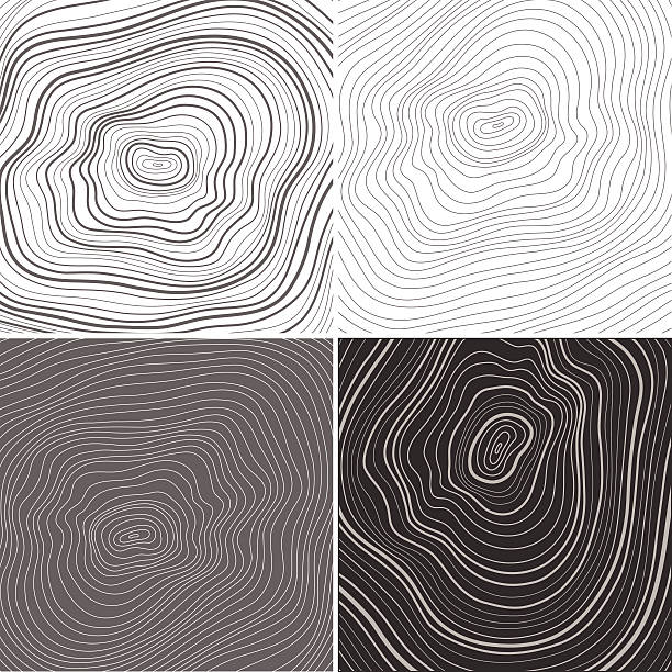 Vector tree rings background, topographic map background concept Vector tree rings background, topographic map background concept tree designs stock illustrations