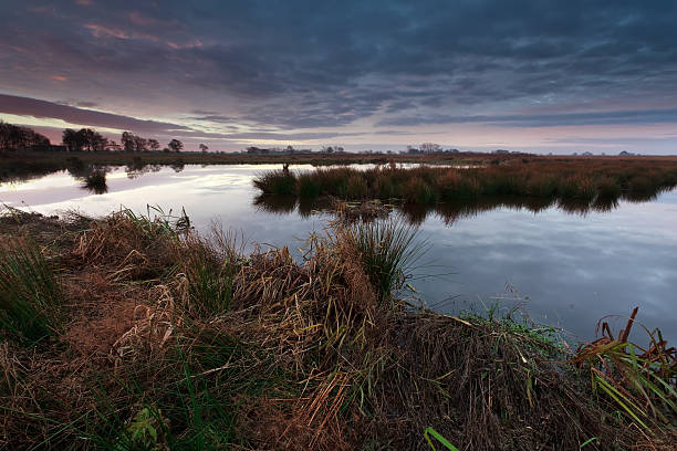 istock sunrise over swamp in autumn 478503423