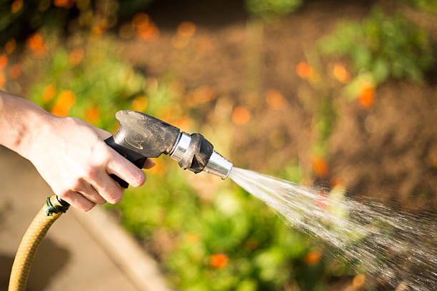 istock Woman pouring her garden 478507644