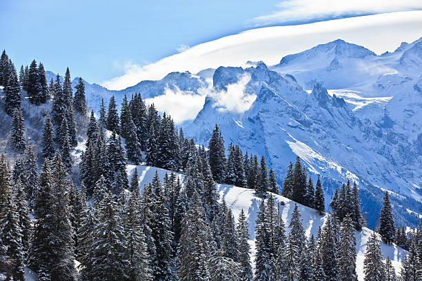swiss alps landscape
