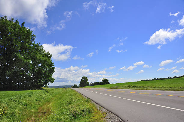 istock Suuny Country Road 478515990