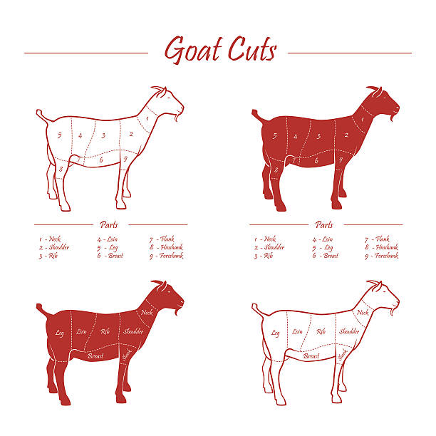 128 Goat Meat Illustrations & Clip Art - iStock | Goat meat cooked, Goat  meat white background, Raw goat meat