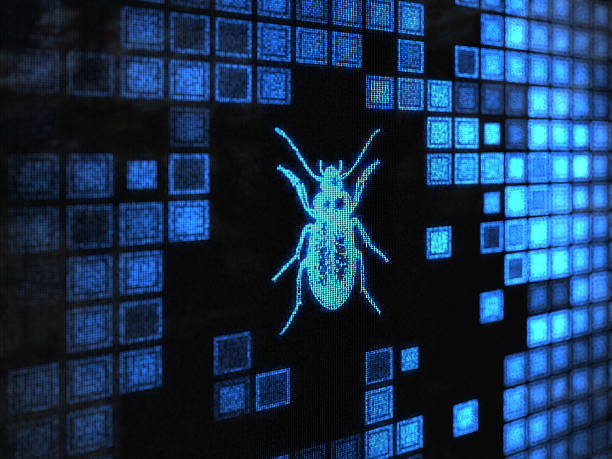 Computer Bug Computer Bug computer bug stock pictures, royalty-free photos & images