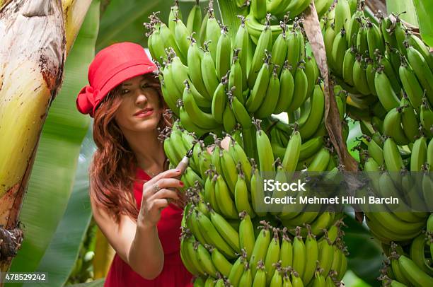 Turkish Fashion Model In Banana Garden Stock Photo - Download Image Now - 2015, 30-34 Years, Adult