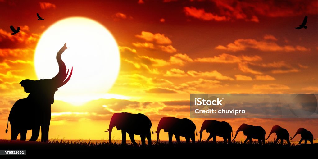 African Elephants at the sunset wildlife scenery African Elephants at the sunset wildlife scenery. The large family of Elephants are walking in line in savanna. Elephant stock illustration