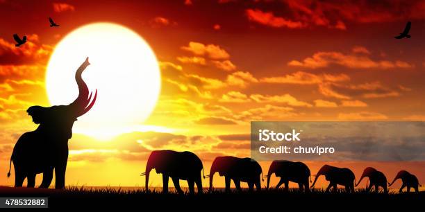 African Elephants At The Sunset Wildlife Scenery Stock Illustration - Download Image Now - Elephant, Cloud - Sky, Cloudscape