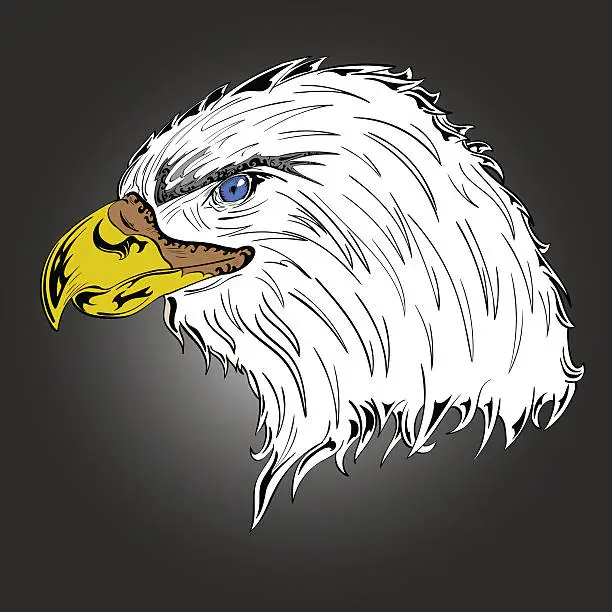 Vector illustration of Colored Eagle