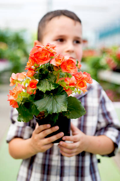 istock Child in a Garden Center Store 478533404