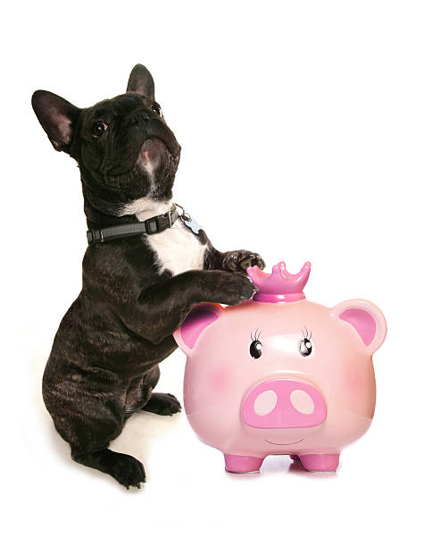 istock happy pink pig piggy bank 478540168