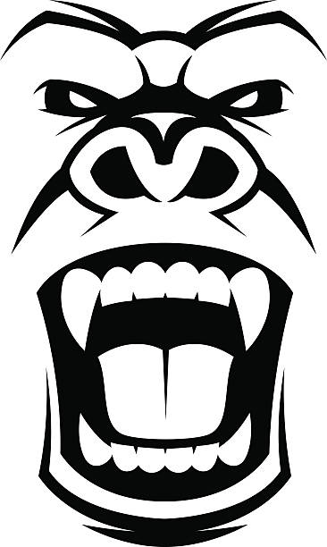 Angry gorilla head Vector illustration, head evil ferocious gorilla shouts angry monkey stock illustrations