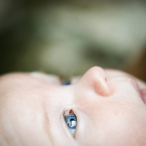 Curious baby with blue eyes looking at trees and skies