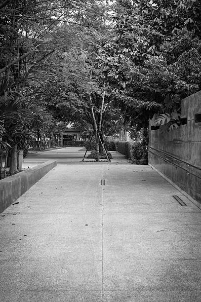 istock The path in the garden, landscape, monochrome 478545482