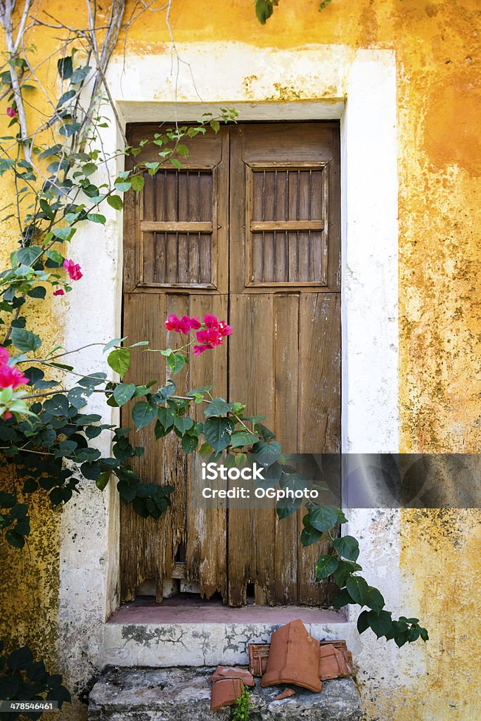 Door of an old abandoned yellow building. -XXXL Door on an old abandoned yellow building with a Bougainvillea shrub growing in front of it. Yucatan, Mexico. Mexico Stock Photo