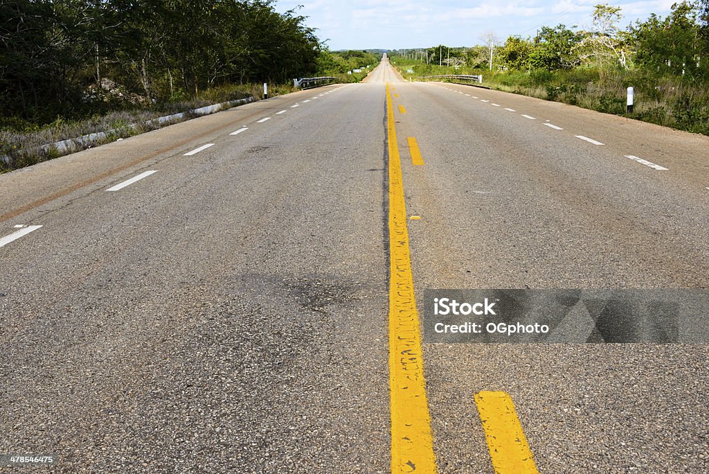 Long straight road -XXXL Long straight road leading into the horizon Asphalt Stock Photo