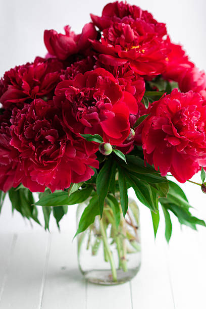 istock Red peony bouquet in glass vase on table 478546536