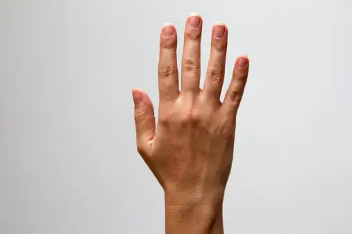 Inhand Back Back Of Hand Pictures | Download Free Images on Unsplash