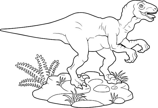 ilustrações, clipart, desenhos animados e ícones de velociraptor - lizard