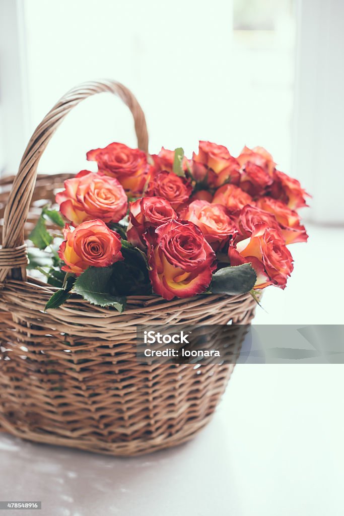 roses in a basket on the table A bouquet of roses in a basket on the table in front of the window against backlight 2015 Stock Photo