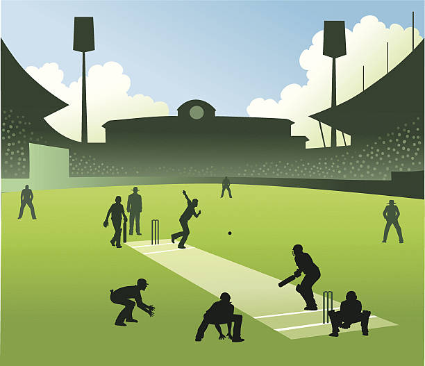 Test Match in Cricket All images are placed on separate layers.  They are easy to remove or altered if needed. cricket team stock illustrations