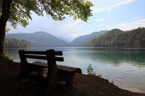 istock Lonely bench next to a lake 478551588