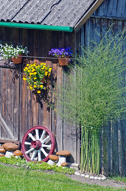 istock wall decorations in  farm - flowers, stone and carriage wheel 478556006
