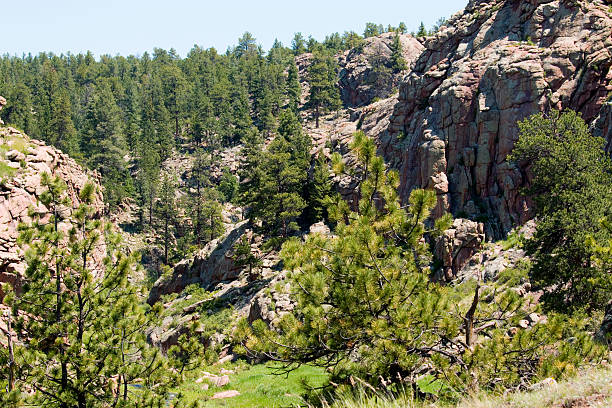 istock Guffey Gorge Creek and Paradise Cove 478556672