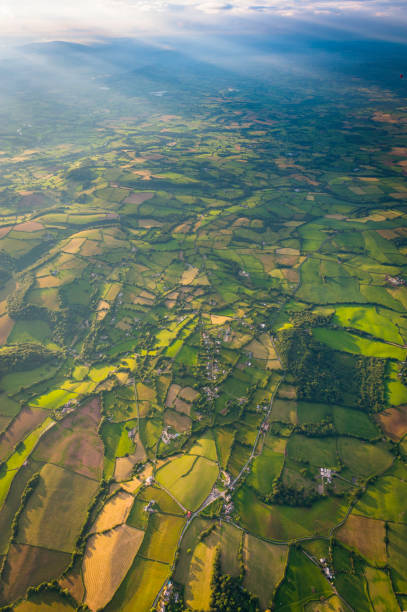 High Angle View Of Agricultural Field