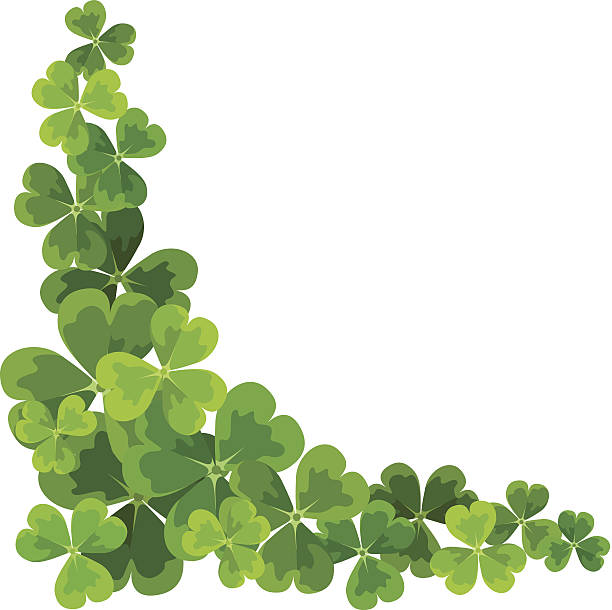 st. patrick's corner 테두리, 섐록. 벡터 일러스트레이션. - st patricks day clover four leaf clover irish culture stock illustrations