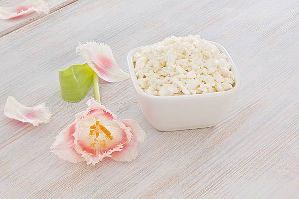 Cottage cheese with pink and white tulip stock photo