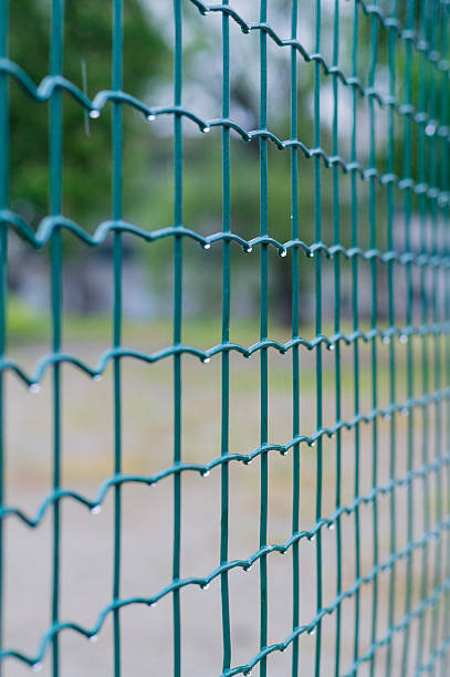 istock Green wire fence after rain closeup 478566734