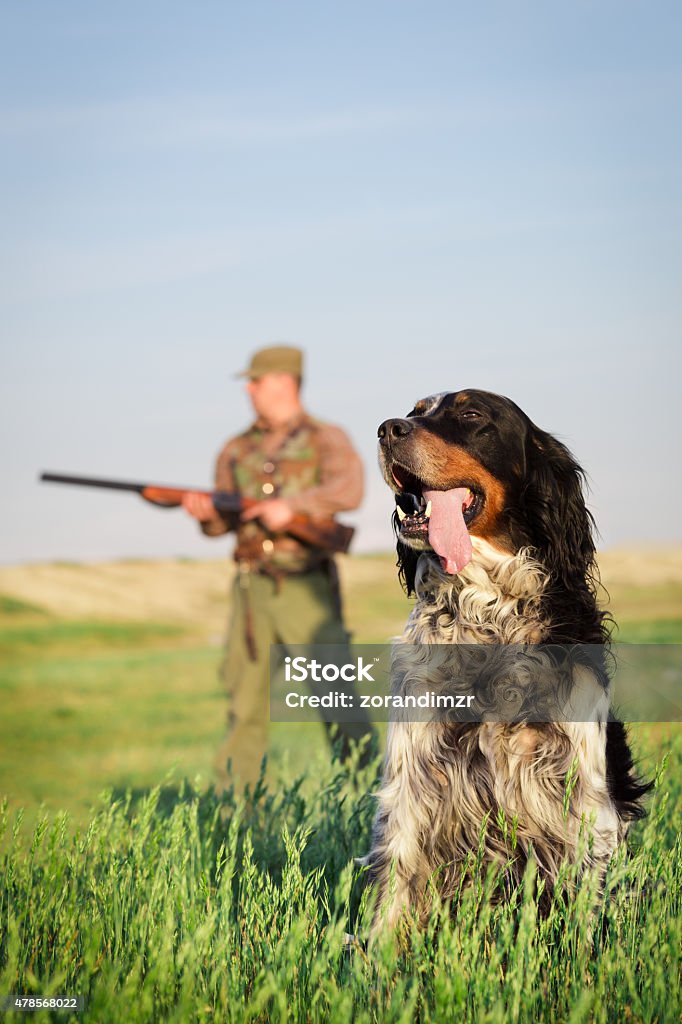 Hunter with hunting dog during a hunt 2015 Stock Photo