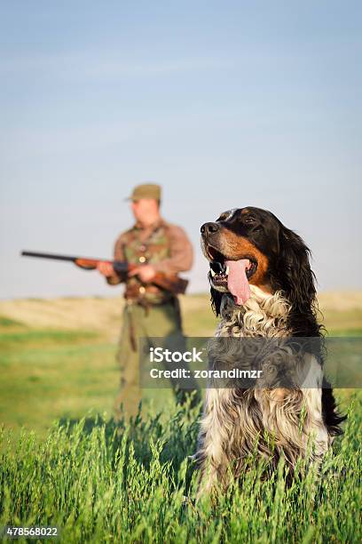 Hunter With Hunting Dog During A Hunt Stock Photo - Download Image Now - 2015, Adult, Agricultural Field