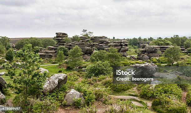 Brimham Rocks Vicino Harrogate Nello Yorkshire - Fotografie stock e altre immagini di Brimham Rocks - Brimham Rocks, Ambientazione esterna, Brughiera