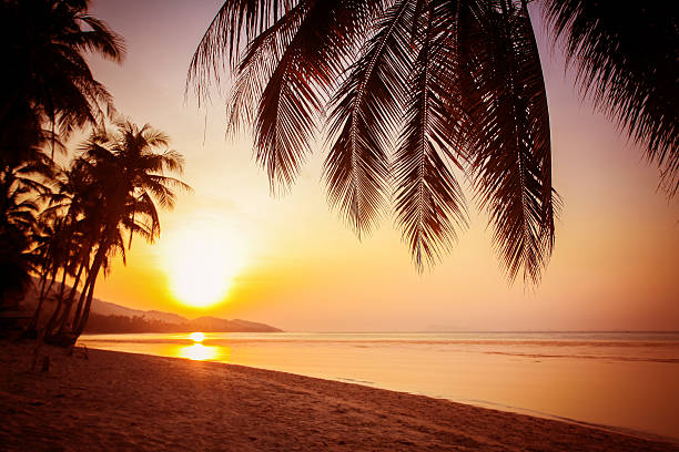 istock Beautiful sunset over the tropical beach 478570570