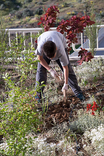 istock Planting Flowers 478571198