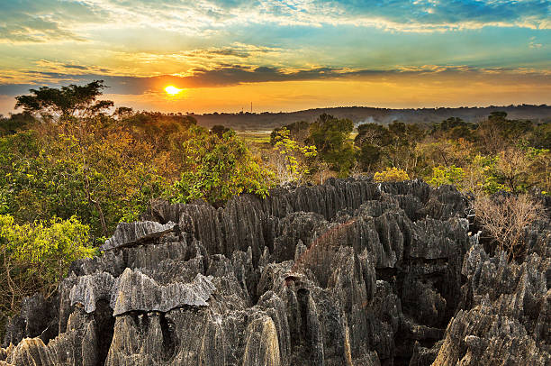 Little Tsingy sunset excursion Beautiful sunset view on the unique geography at the Tsingy de Bemaraha Strict Nature Reserve in Madagascar karst formation photos stock pictures, royalty-free photos & images