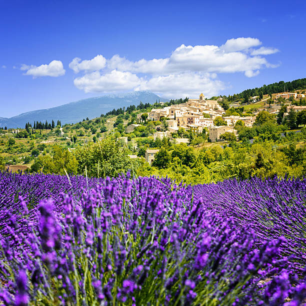 Lavender field and village, France. Aurel little village  in south of france with a lavender field in front of it drome stock pictures, royalty-free photos & images