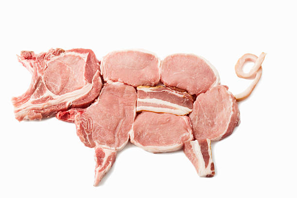 Pig made from pork chops, filet and bacon on white background