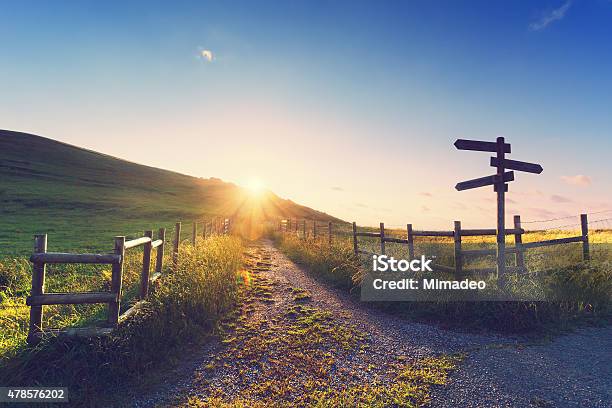 Wooden Signpost Near A Path Stock Photo - Download Image Now - Footpath, Directional Sign, Nature