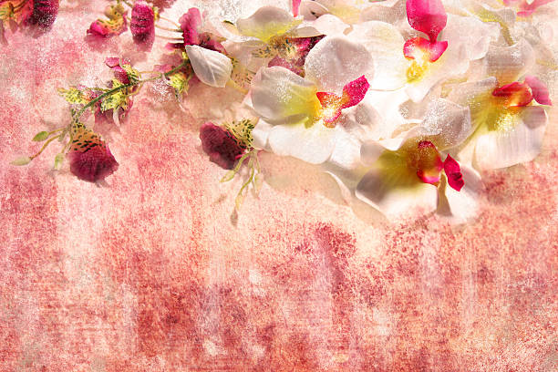 istock nice flowers on the grunge background 478583303