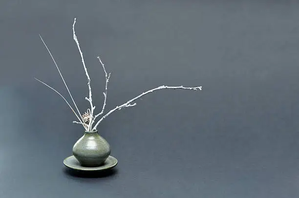 Japanese flower arrangement known as ikebana over grey background
